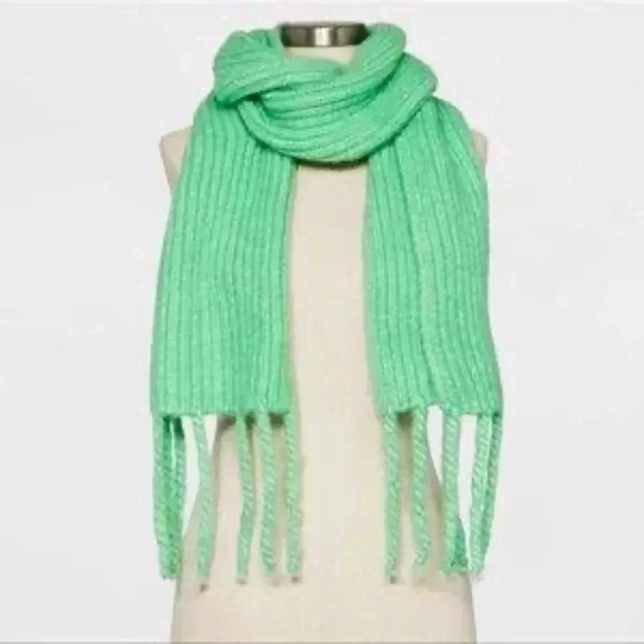 a new day Accessories - NWT A New Day Fringe Scarf